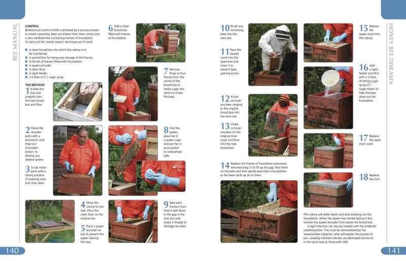 Bee Manual - Image 6