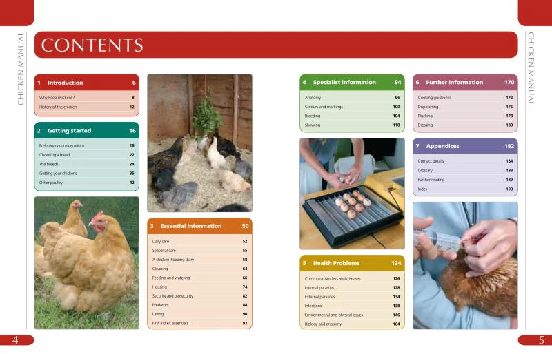 Chicken Manual - Image 2