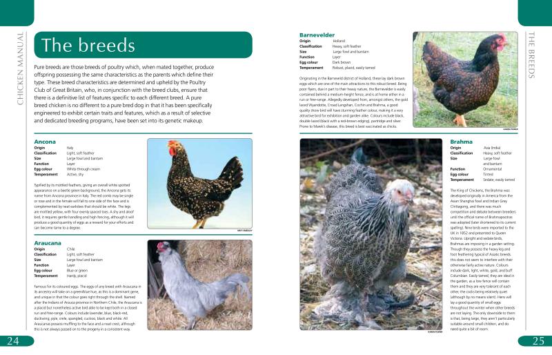Chicken Manual - Image 3