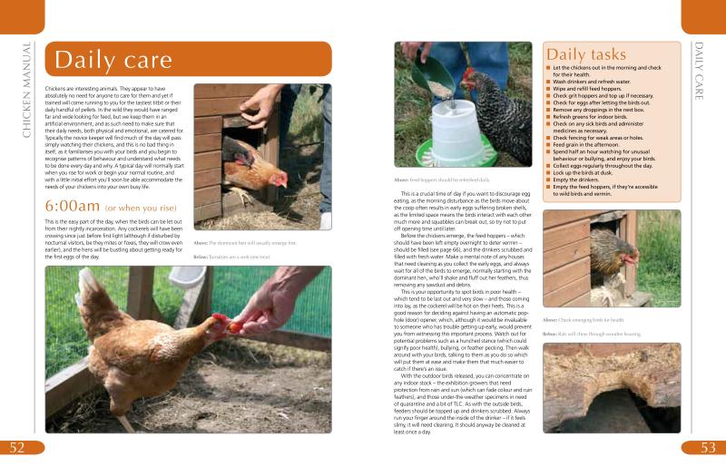 Chicken Manual - Image 4