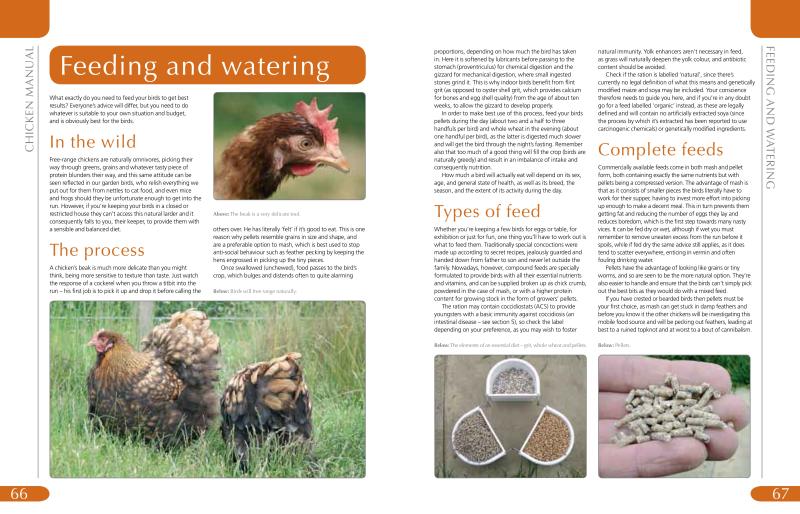 Chicken Manual - Image 5