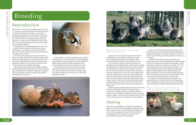 Chicken Manual - Image 6