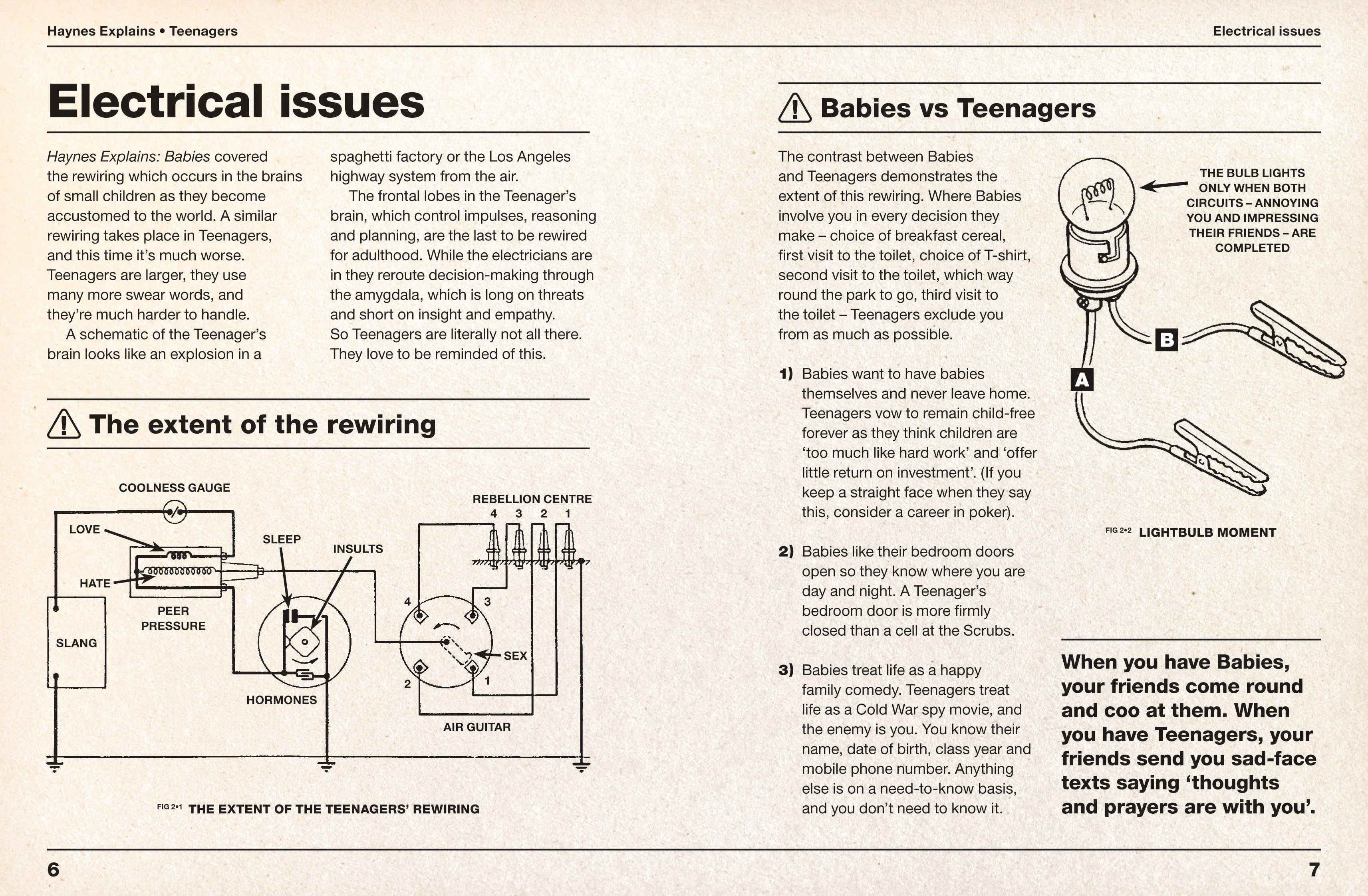 Haynes Explains Teenagers - Image 3