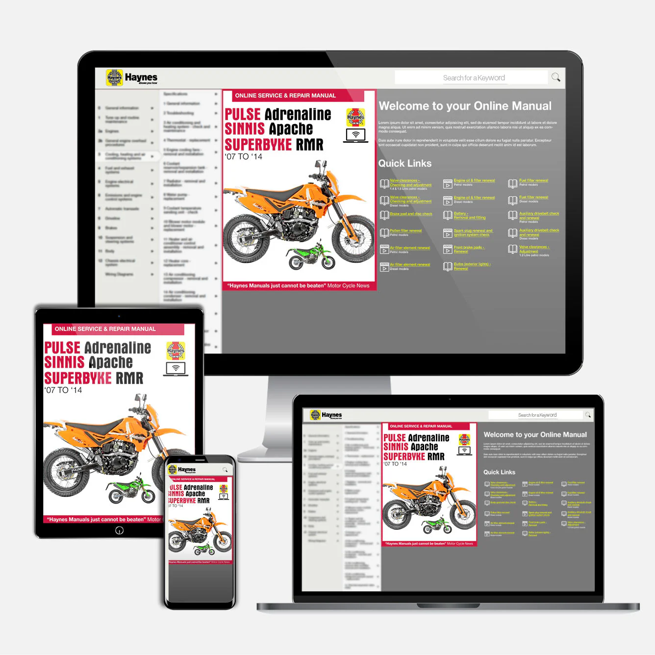 Pulse Adrenaline, Sinnis Apache, Superbyke RMR (2007-2014) Haynes Repair Manual - Image 9