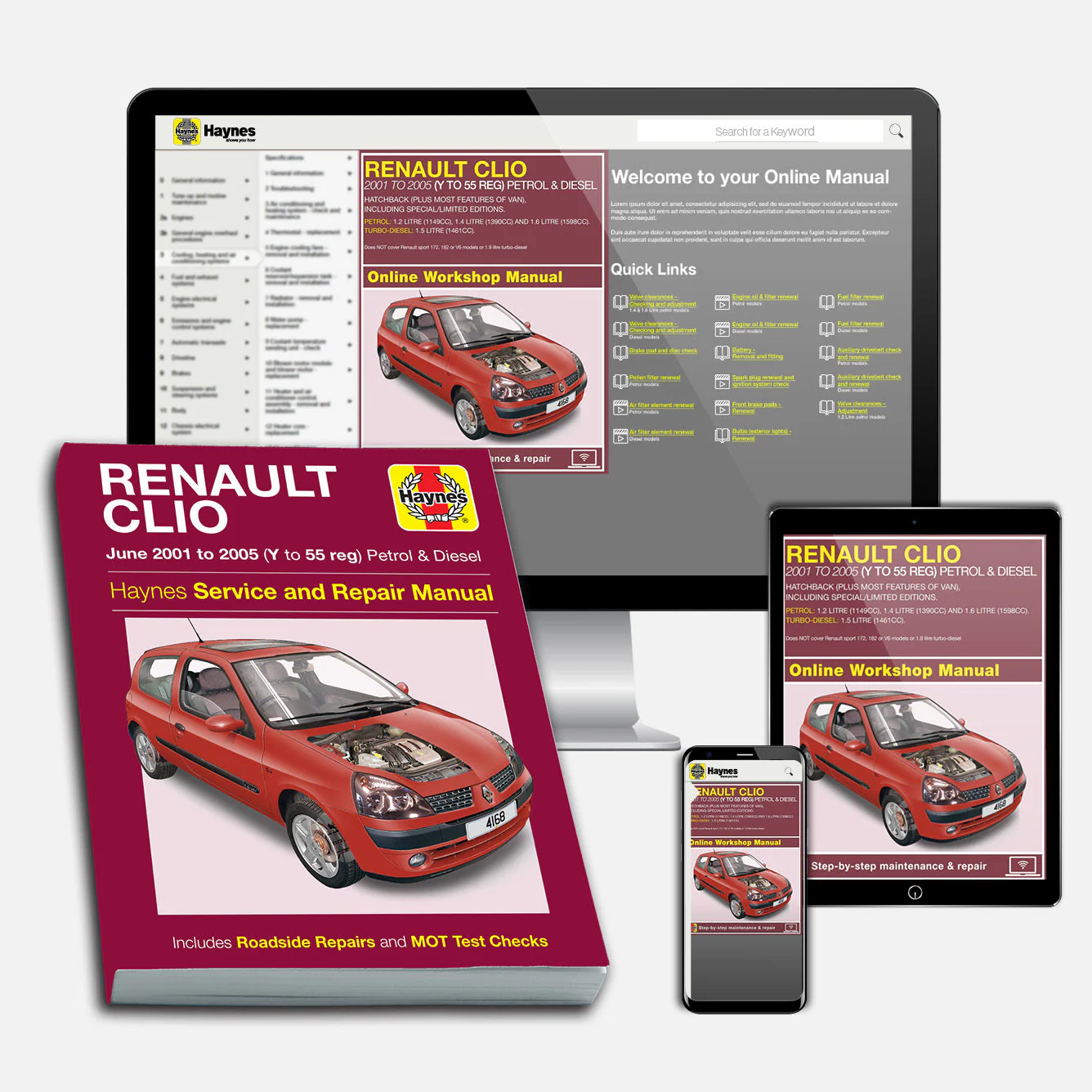 Renault Clio Petrol & Diesel (Jun 2001-2005) Haynes Repair Manual