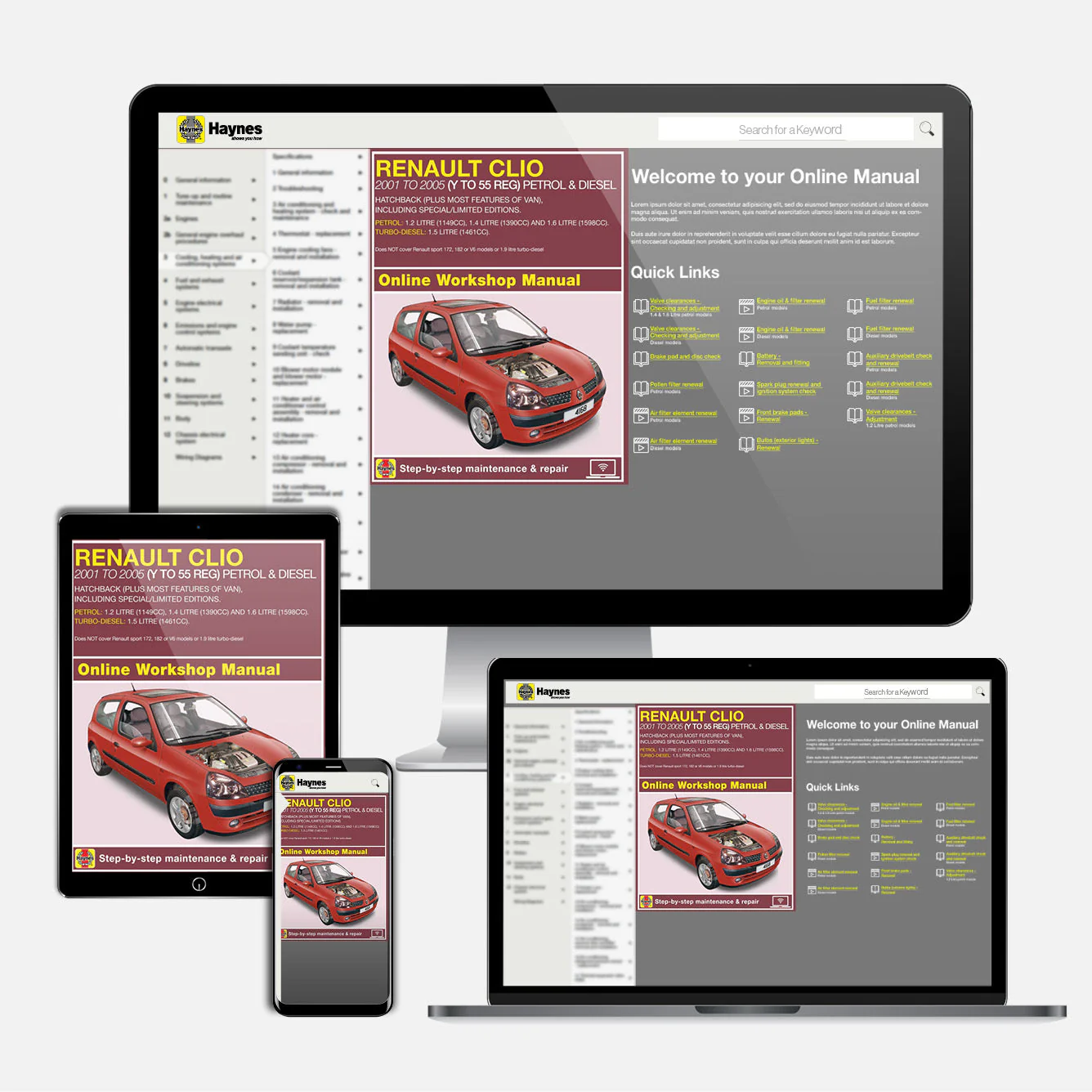 Renault Clio Petrol & Diesel (Jun 2001-2005) Haynes Repair Manual - Image 9