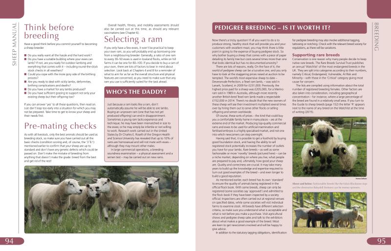 Sheep Manual - Image 5