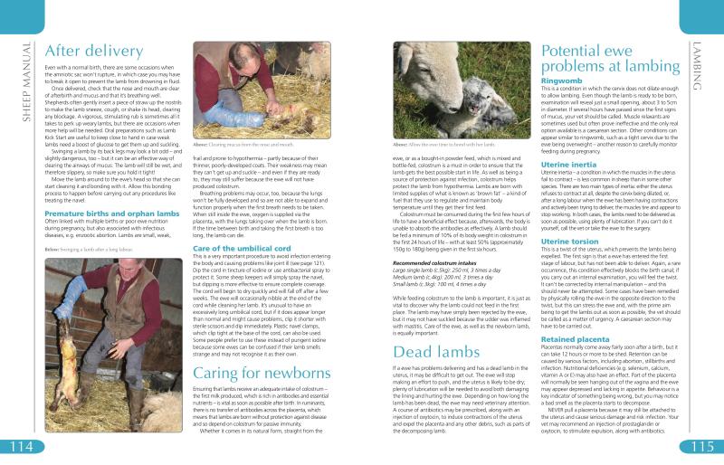 Sheep Manual - Image 6
