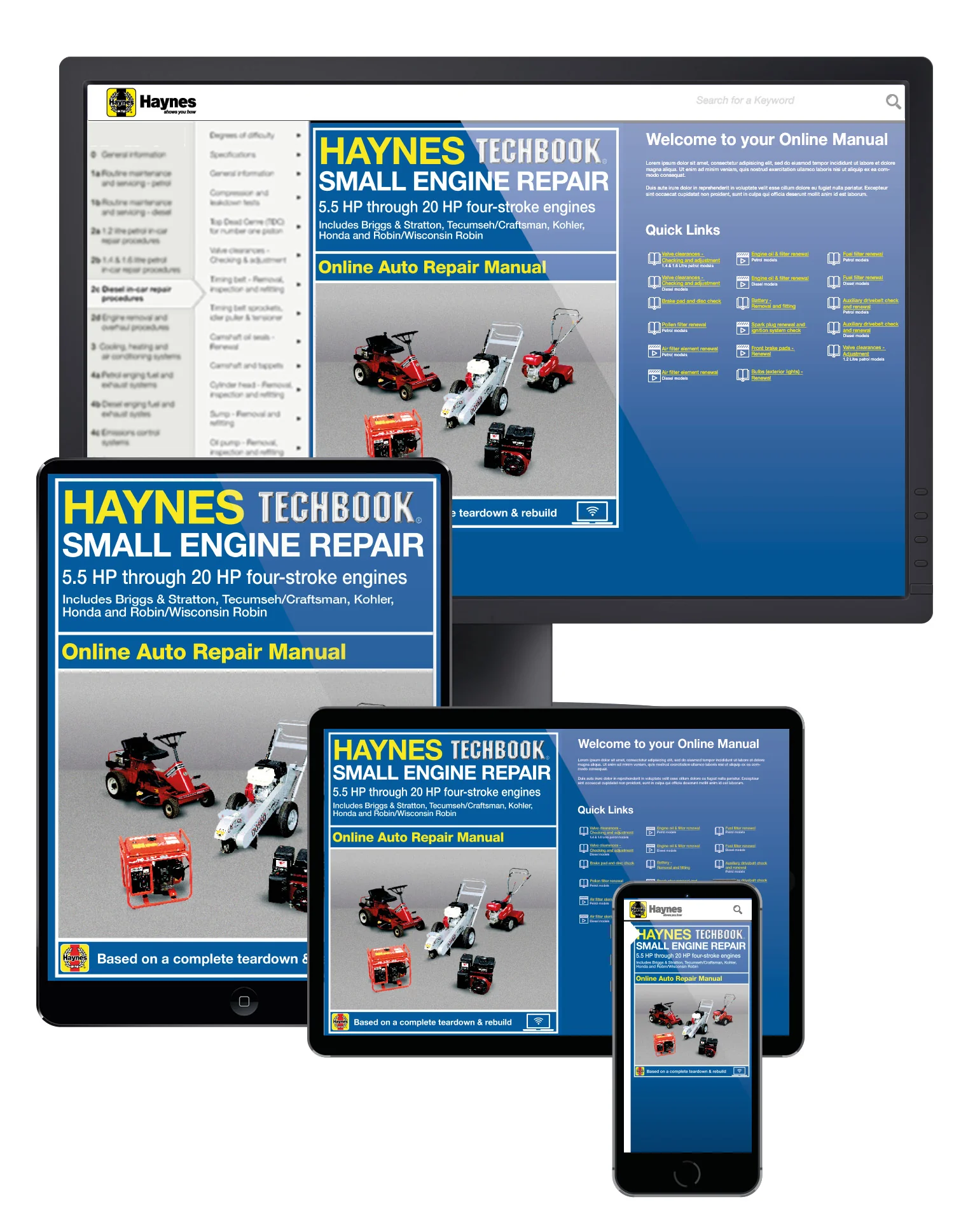 Small Engine Repair 5.5 HP through 20 HP Haynes Online Techbook (USA)