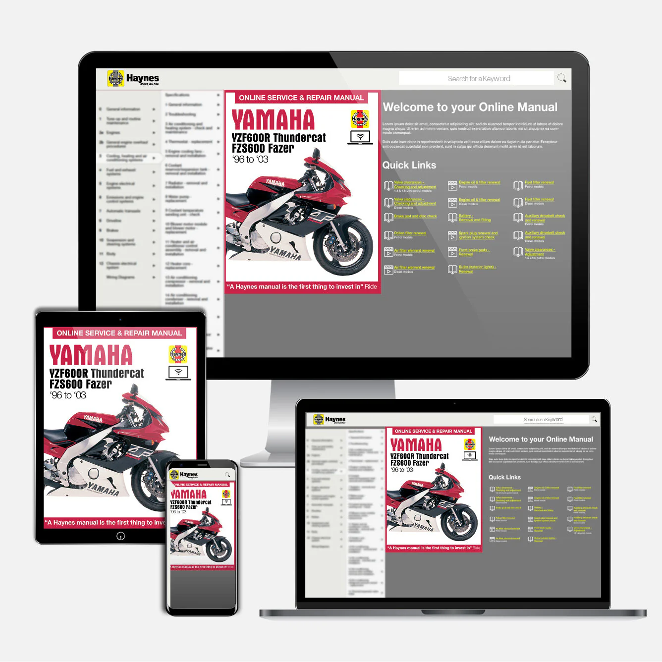 Yamaha YZF600R Thundercat & FZS600 Fazer (1996-2003) Haynes Repair Manual - Image 9